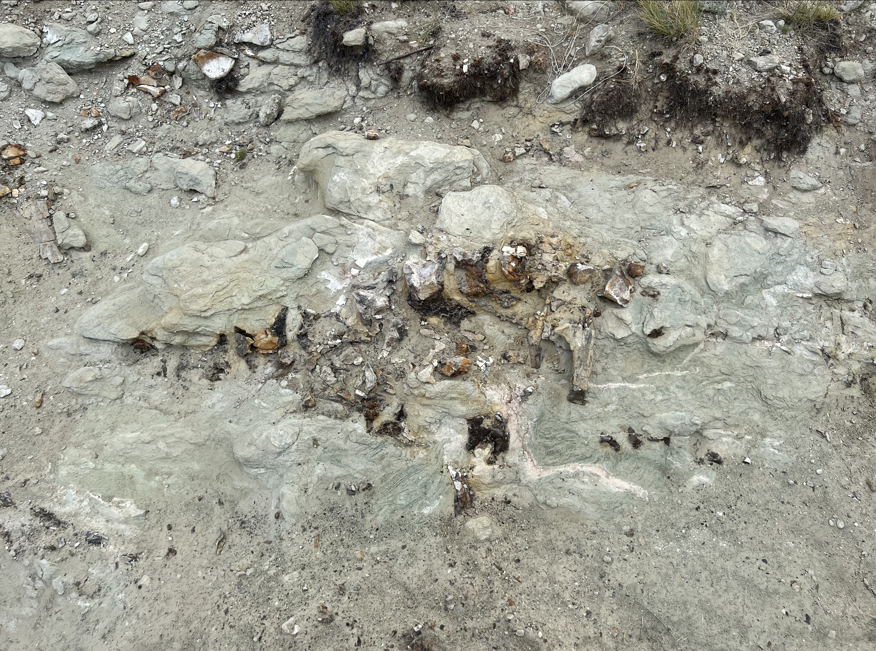 Wyoming Spring Creek – Earth’s Intersectionality
