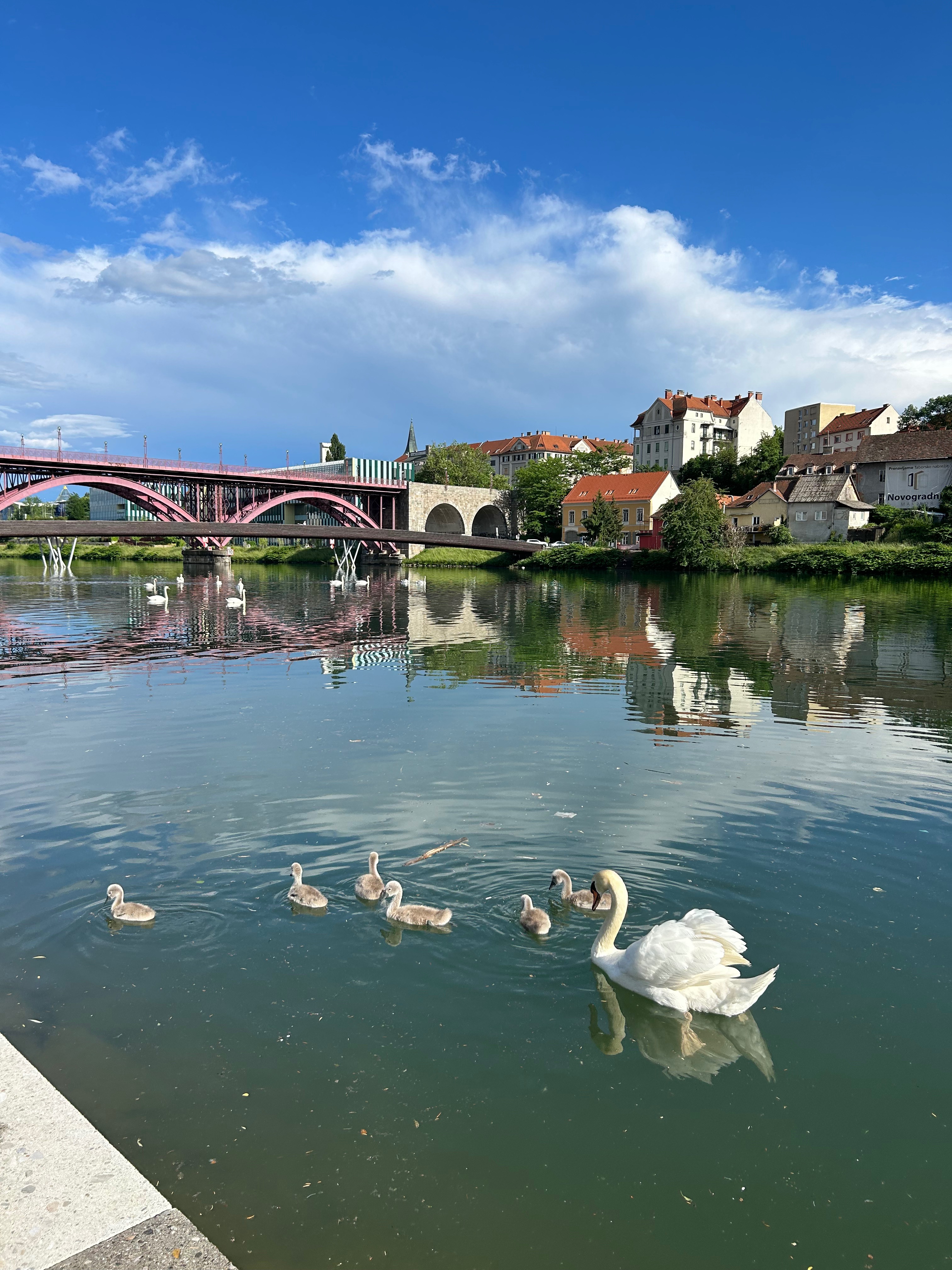 Hvala Slovenia!